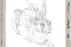 Young-Hare-by-Albrecht-Durer-jurita-2020-watercolor-ref094-19