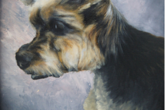 My Dog Bad Boy Tyler Art Series -Masik Sport Dog, Jurita, 2019, oil on canvas board, 50x40cm