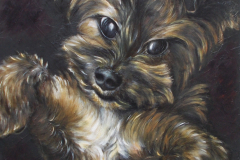 My Dog Bad Boy Tyler Art Series - Masik sweet dog, Jurita, 2019, oil on canvas board, 50x40cm