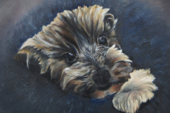 My Dog Bad Boy Tyler Art Series - Masik Lovely Dog, Jurita, 2019, oil on canvas board, 50x40cm