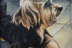 My Dog Bad Boy Tyler Art Series - Masik Music Dog, Jurita, 2019, oil on canvas board, 50x40cm